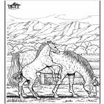 Animals coloring pages - Horse 6