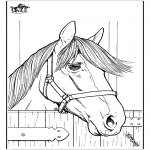 Animals coloring pages - Horse 7