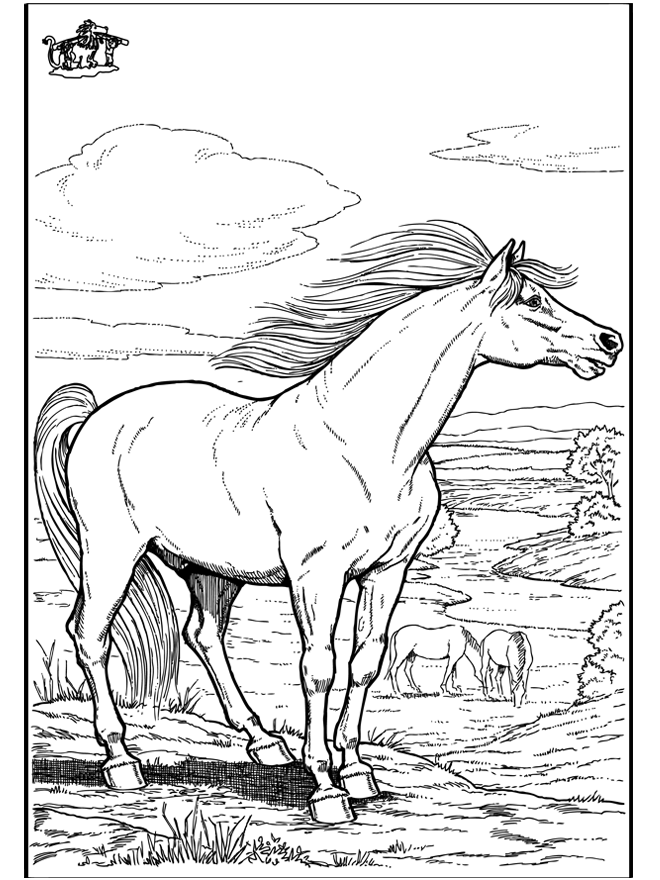 Horse 9 - Horses