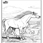 Animals coloring pages - Horse 9