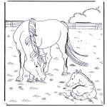 Animals coloring pages - Horse and foal