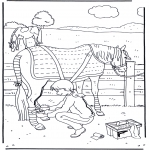 Animals coloring pages - Horse care