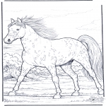 Animals coloring pages - Horse gallop at full