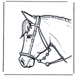 Animals coloring pages - Horse head 2