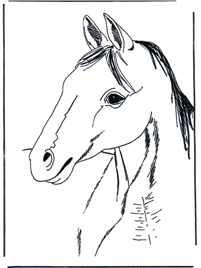 Horse head 3 - Horses