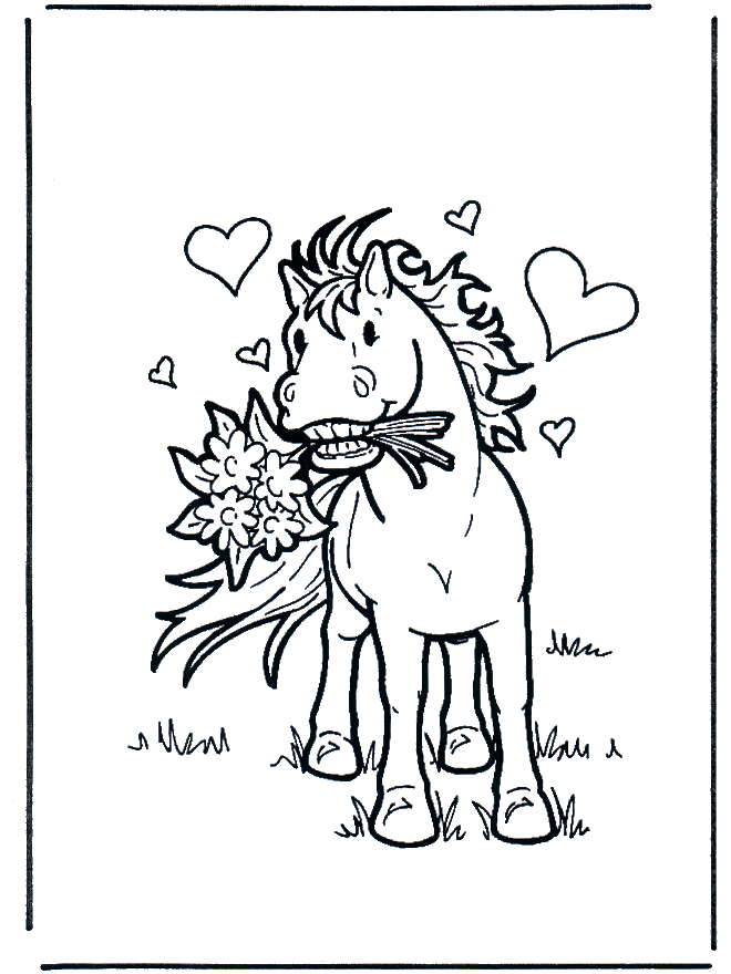Horse in love - Horses