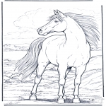 Animals coloring pages - Horse in the wind