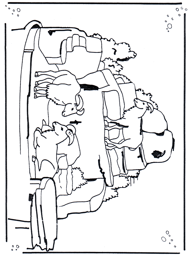 Ibex Coloring Pages - Super Kins Author