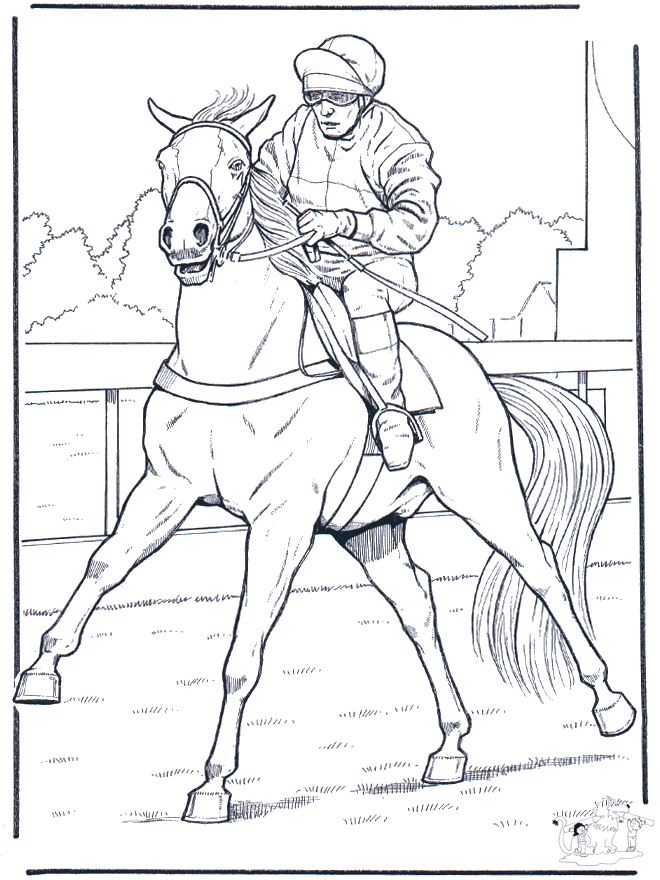 Jockey on horse - Horses