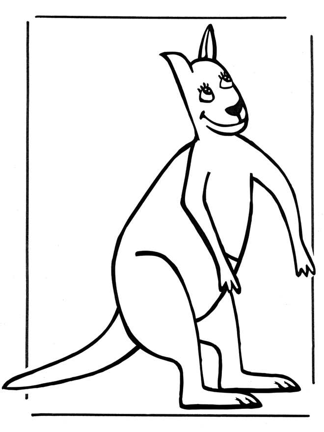 Kangaroo 3 - Zoo