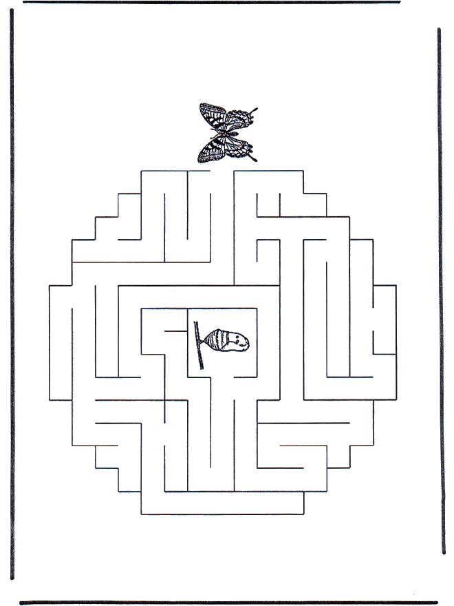 Labyrinth butterfly - Labyrinth