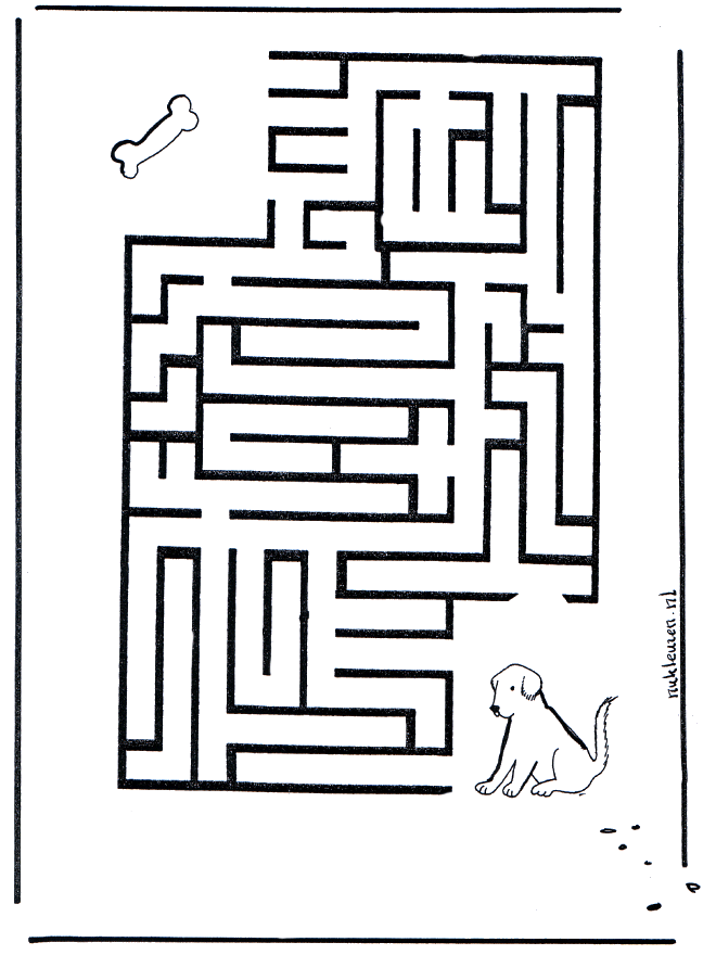 Labyrinth dog - Labyrinth