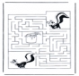 Labyrinth skunk