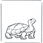 Animals coloring pages - Land turtle