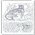 Animals coloring pages - Leopard 1