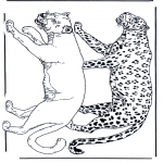 Animals coloring pages - Lion and leopard