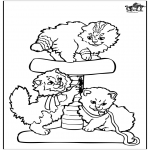 Animals coloring pages - Little cats