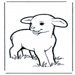 Animals coloring pages - Little lamb 1