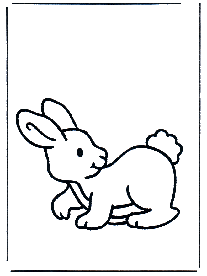 Little rabbit 2 - Animals