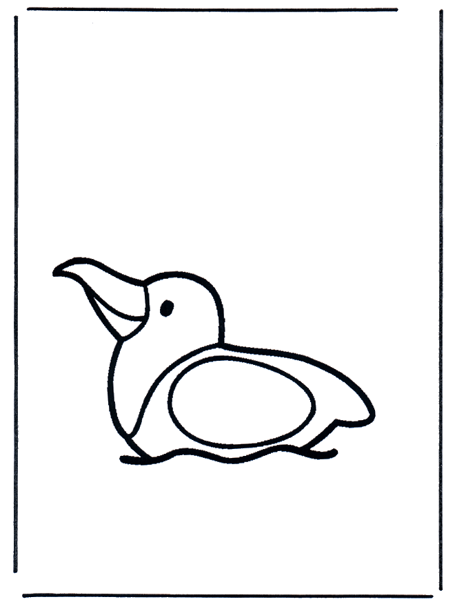 Little seagull - Animals