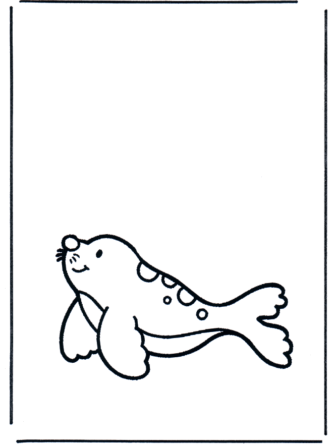 Little seal - Animals