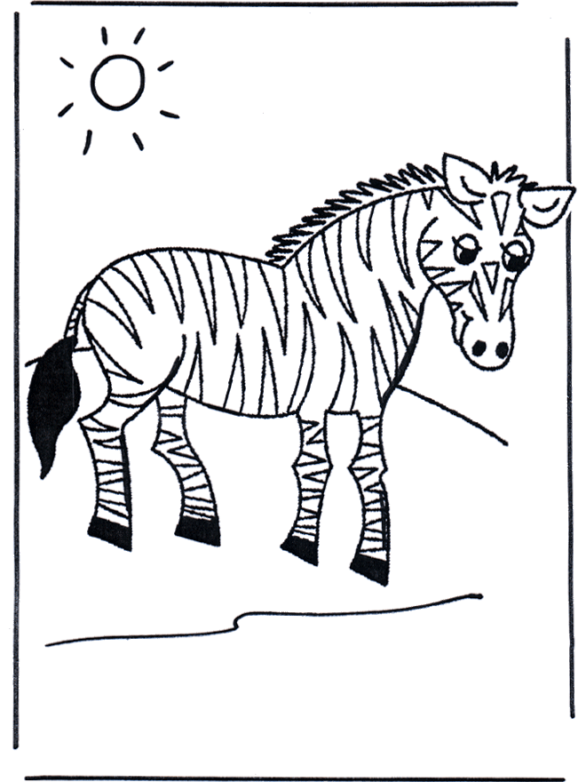 Little zebra - Animals