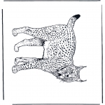 Animals coloring pages - Lynx