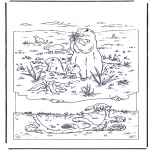 Animals coloring pages - Marmot