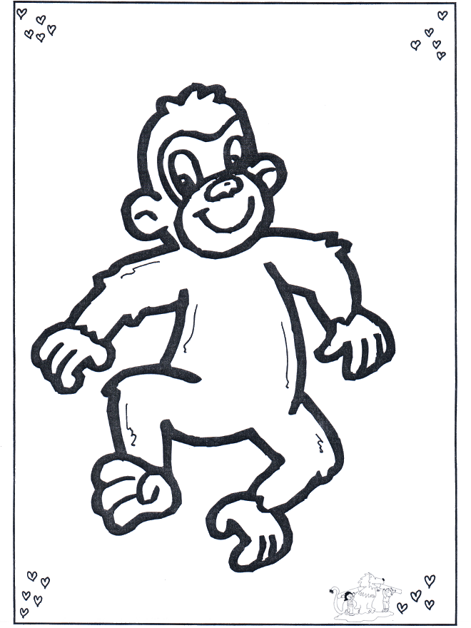 Monkey 3 - Zoo