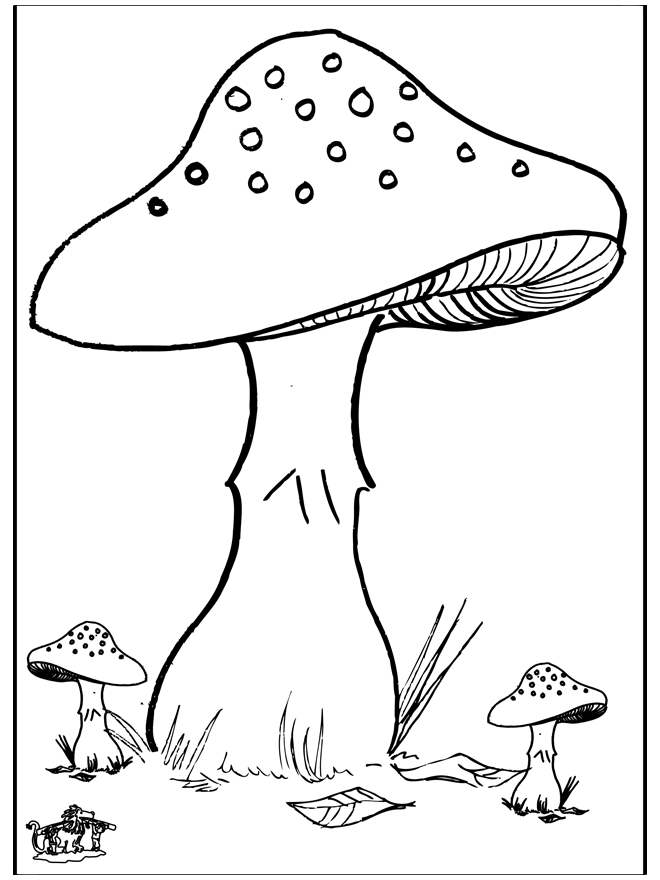 Mushroom 3 - Autumn