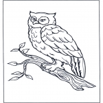 Animals coloring pages - Oal on tree