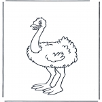 Animals coloring pages - Ostrich 1