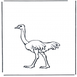 Animals coloring pages - Ostrich 2