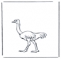 Ostrich 2