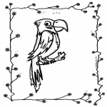 Animals coloring pages - Parrot 2