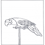 Animals coloring pages - Parrot 3