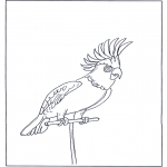 Animals coloring pages - Parrot 4