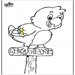 Animals coloring pages - Parrot 5