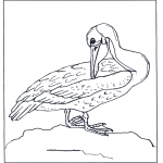 Animals coloring pages - Pelican