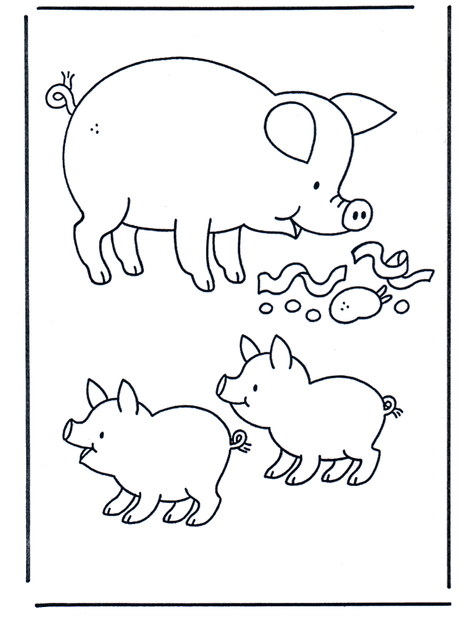 Pig - pets and animals on the farm