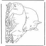 Animals coloring pages - Pigs 1