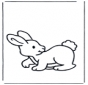 Rabbit 2