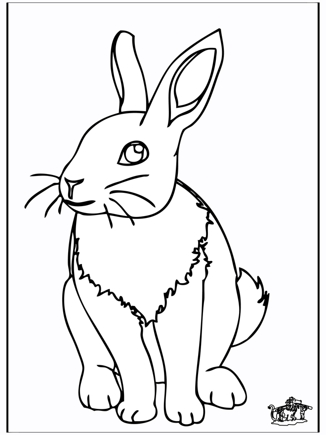 Rabbit 4 - Rodents