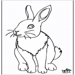 Animals coloring pages - Rabbit 4