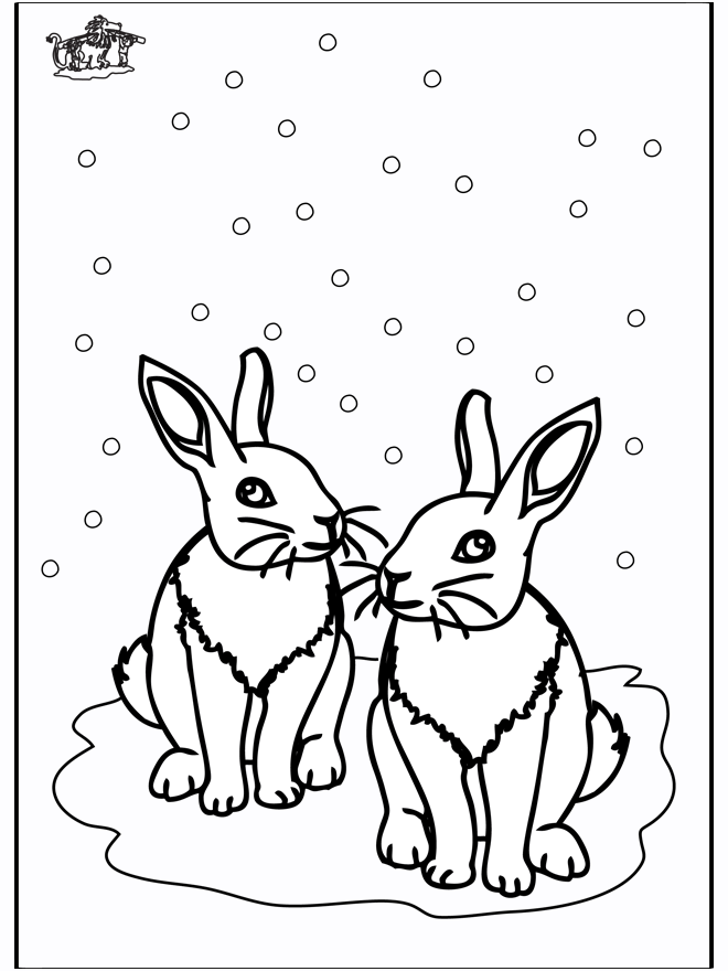 Rabbits - Winter animals