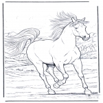 Animals coloring pages - Running horse