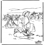 Bible coloring pages - Ruth 2