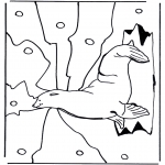 Animals coloring pages - Sea lion