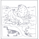 Animals coloring pages - Sea lions