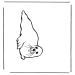 Animals coloring pages - Seal 2